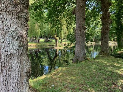 La Demeure Romantique Bazouges-sous-Hede Екстер'єр фото