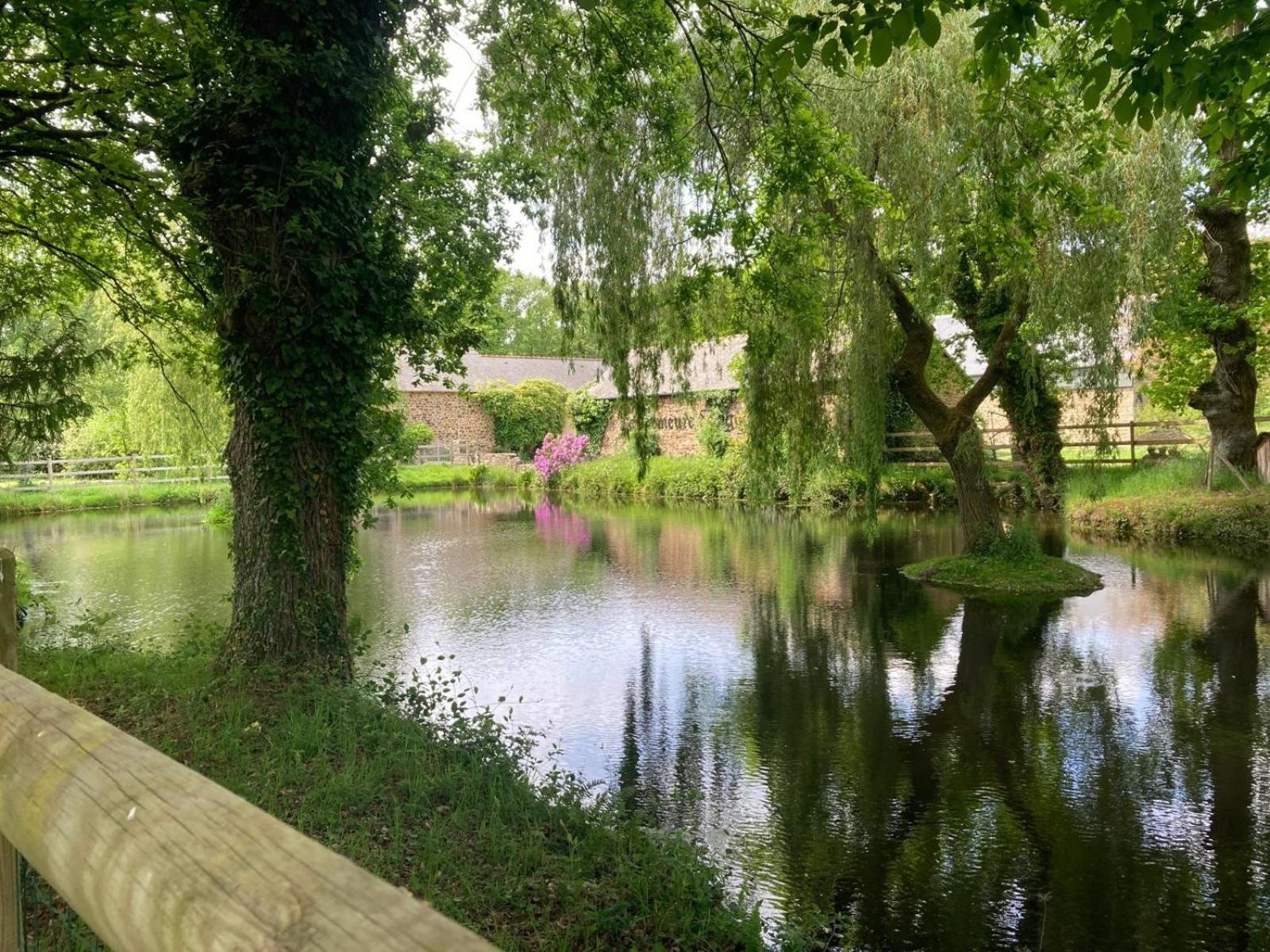 La Demeure Romantique Bazouges-sous-Hede Екстер'єр фото